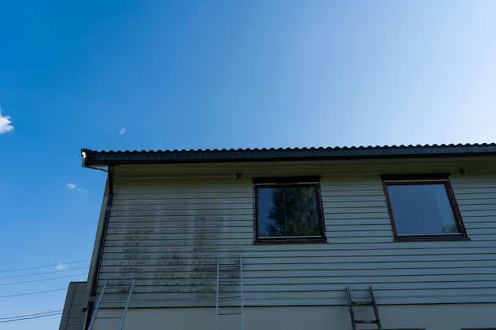 exterior mold removal services Elk Grove